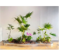 南（nán）昌植物租擺