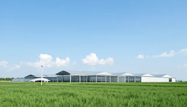 适配方案在软件研发中的应用趋势与实践